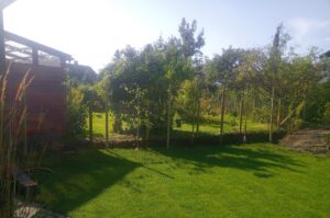 jc-uteanlegg-trefelling-og-beskjæring